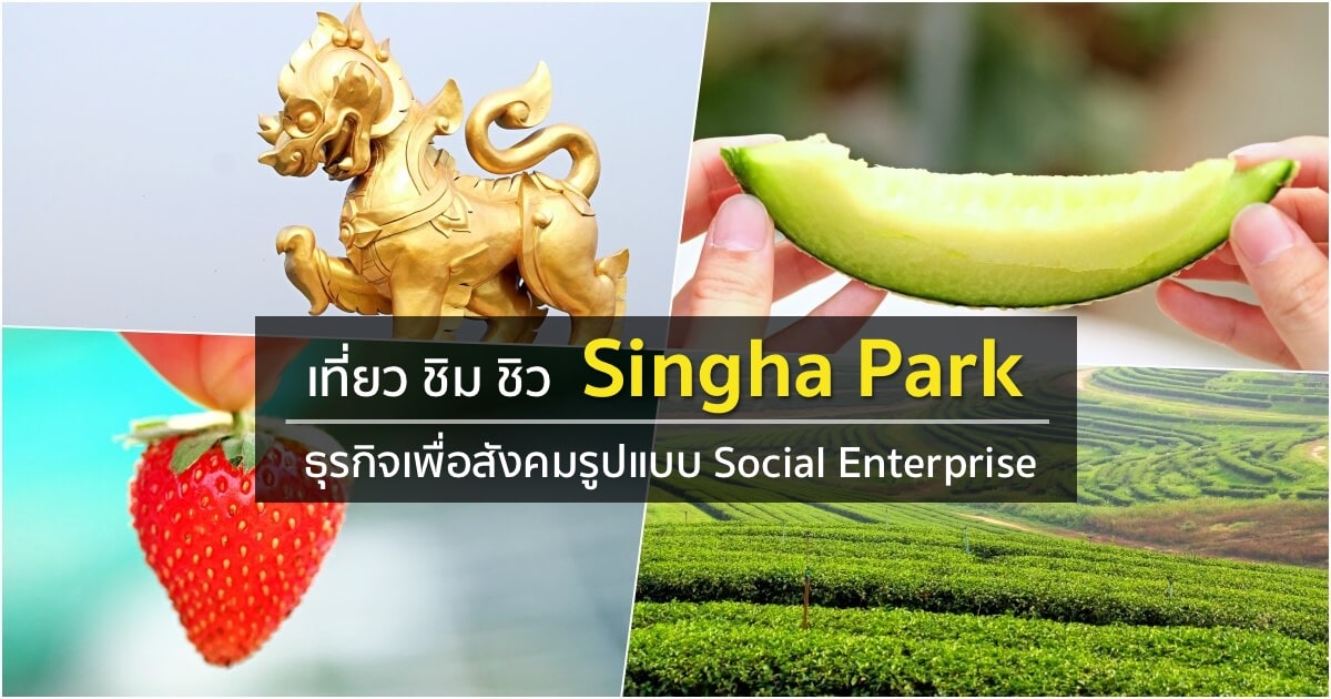 singha park social enterprise featured