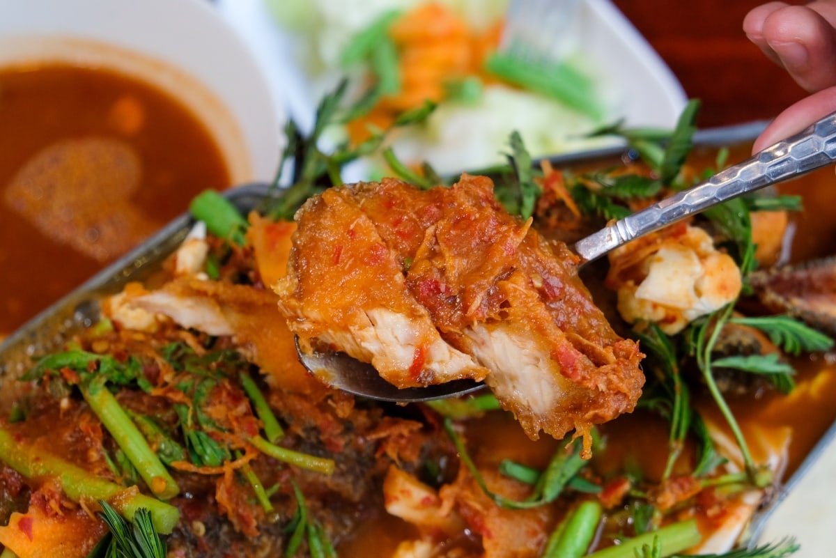 review great fish menu 5 restaurants nakhon phanom isan thailand 62