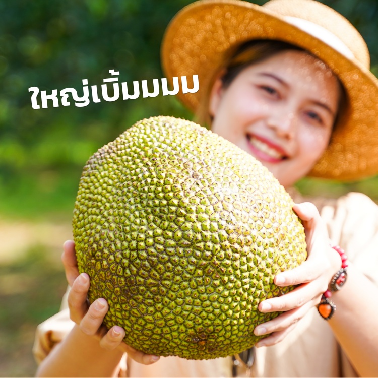 triple fresh sme thai jackfruit in 7 eleven 1